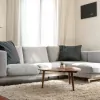 Melhores produtos para limpeza de sofá: Um guia completo