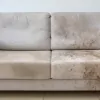 Como remover mofo do sofá sem danificar: guia completo e seguro